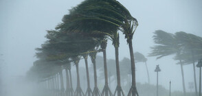 Тропическата буря "Джулия" прерасна в ураган (ВИДЕО+СНИМКИ)