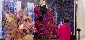 Цветни скулптури завладяха публиката в Ню Йорк (ВИДЕО)