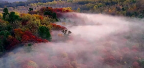 Кадри от дрон показаха спиращи дъха есенни кадри от Китай (ВИДЕО)