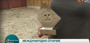 „Анимал Рескю- София” с престижна награда за работата си с бездомни животни