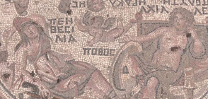 В Сирия откриха непокътната мозайка на 1600 години (ВИДЕО)