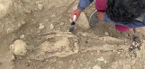 Откриха мумии от колониалната епоха в Перу (ВИДЕО)