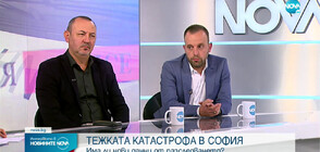 Владимир Тодоров: В София годишно стават около 200 катастрофи с пешеходци