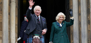 Бъкингам обмисля да премахне „консорт” от титлата на Камила (ВИДЕО)