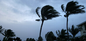 Тропическа буря прерасна в тайфун, след като достигна Филипините (ВИДЕО)