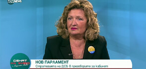 Грети Стефанова, ДБ: Като мандатоносители ли БСП организират срещата за бюджета?