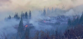 Горският пожар в щата Вашингтон се разраства (ВИДЕО)