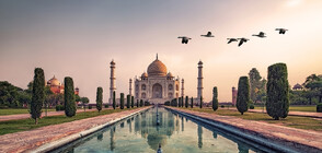 Екстремни спортисти скочиха с уингсют над Тадж Махал (ВИДЕО)