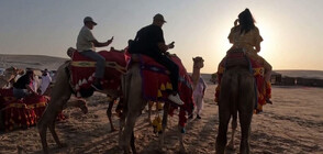 Сафари в пустинята и яздене на камила: Вижте забавленията за туристи на Мондиала (ВИДЕО)