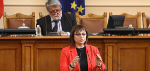 Трябва ли лидерът на БСП Корнелия Нинова да подаде оставка?