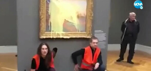 Екоактивисти заляха с пюре картина на Моне в Германия (ВИДЕО)