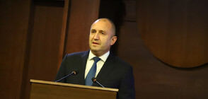 President Radev arrives in Egypt for Cimate change conference