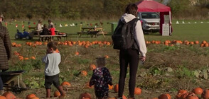 Британците се подготвят да отпразнуват Хелоуин (ВИДЕО)