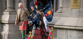 Крал Чарлз III не иска да бъде заместван от принцовете Андрю и Хари в случай на болест