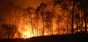 Необичайните за сезона горещини предизвикаха горски пожари в Испания (ВИДЕО)