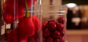 Бихте ли опитали шоколад, направен с едни от най-лютите чушки в света (ВИДЕО)