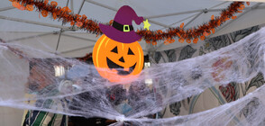 В навечерието на Хелоуин: Уникални шапки и гуш-кукли на фест в сърцето на София (ВИДЕО)