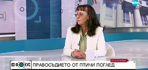 Нели Куцкова: Арестът на Борисов беше грешка