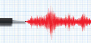 Земетресение с магнитуд 7 на Соломоновите острови