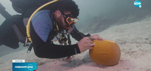 За Хелоуин: Водолази дълбаха фенери от тиква под водата (ВИДЕО)