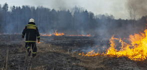 Пожар гори в труднодостъпен терен край Карлово