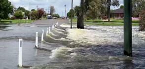Евакуираха стотици хора в Австралия заради наводнение (ВИДЕО)