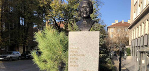 Откриха паметник на Нелсън Мандела в София (СНИМКИ)