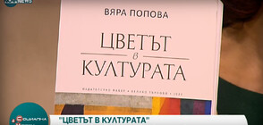 Изследване показва символиката на цветовете от древността до днес