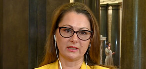 Емилова: При смесено гласуване повече хора ще упражнят правото си на вот