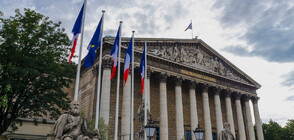 Орязаха заплатата на френски депутат заради расизъм