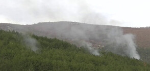 Пожар избухна в Стара планина над Карлово