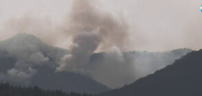 Борбата с пожара по границата с Гърция продължава