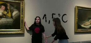 Екоактивисти се залепиха за картина на Гоя в Мадрид