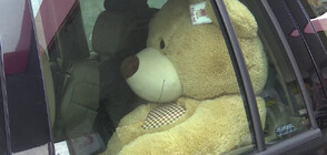 Сдружение помага там, където има нужда от усмивки (ВИДЕО)