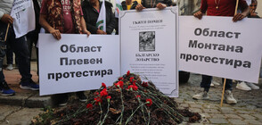 Протест на лозари в София (ВИДЕО+СНИМКИ)
