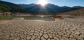 Страни, засегнати от глобалната суша, обявиха съюз за борба с недостига на питейна вода (ВИДЕО)