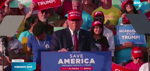 Американците избират парламент и губернатори