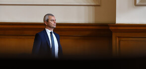 Костадинов: Оградата на границата с Турция спира само дивите животни