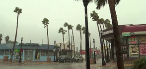 Флорида се подготвя да посрещне тропическата буря "Никол" (ВИДЕО)