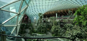 Закрита тропическа градина - най-новата атракция на летището в Катар (ВИДЕО)