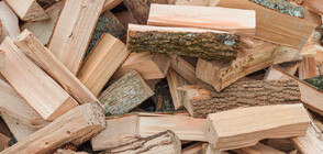 Нова измама с дърва за огрев (ВИДЕО)