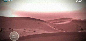 Десетки хиляди квадратни километра се превръщат в пустиня всяка година (ВИДЕО)