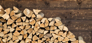Земеделският министър с подробности за недостига на дърва за огрев