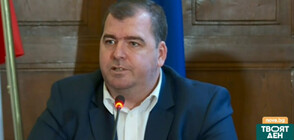 Земеделският министър оптимист за количествата дърва за огрев