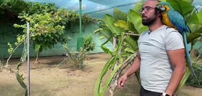 „Фермата на чудесата“: Странният проект на един природолюбител (ВИДЕО)