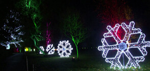 Коледно светлинно шоу в кралската ботаническа градина в Лондон (ВИДЕО)