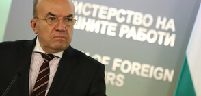 МВнР: Над 185 000 български граждани гласуваха в чужбина