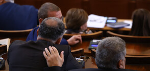 В ДЕКЛАРАЦИЯ: Депутатите призоваха за приемането на България в Шенген