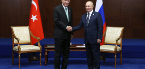 Путин и Ердоган обсъдиха зърнения коридор
