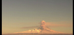 Вулканът Шивелуч в Русия показва сериозна активност (ВИДЕО)